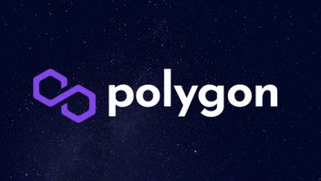 Polygon Prepares Surprise At The End Of The Year, MATIC Kudu Hodler Gets Ready!
