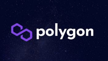 Polygon يستعد للمفاجآت في نهاية العام ، وهودلر MATIC Kudu جاهز!