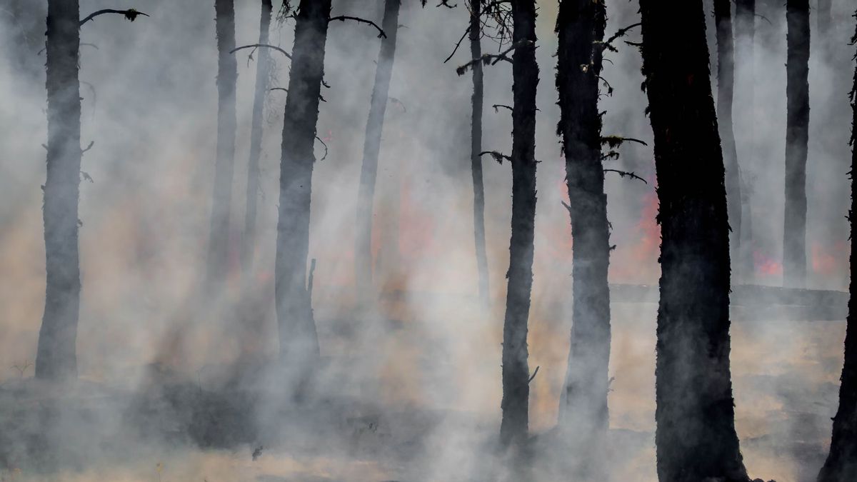 La Turquie propose une aide pour éteindre les incendies de forêt grec