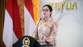 Chairman Of The House Of Representatives With Fair Values There Is A Political Party Adding Jokowi About Cabinet Reshuffle