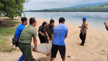 Capture 3 Turtles, Flores Residents Threatened With 5 Years In Prison And A Fine Of IDR 100 Million