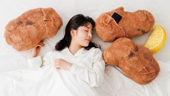 鸡皮脆卡拉奇枕头在日本出售， 有兴趣吗？