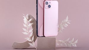 購入前にiPhone iBoxとインテルの違いを知る、ニースルの代わりに