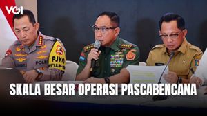 Skala Besar Operasi Pascabencana, Panglima TNI Agus Subiyanto: Sudah Dibangun 32 Jembatan