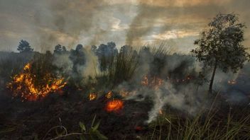 意図的な要素があり、ペナジャムの4ヘクタールの泥炭地火災の事件は調査に上がった