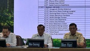 Ini Daftar 28 Perusahaan Pelanggar Aturan Hutan