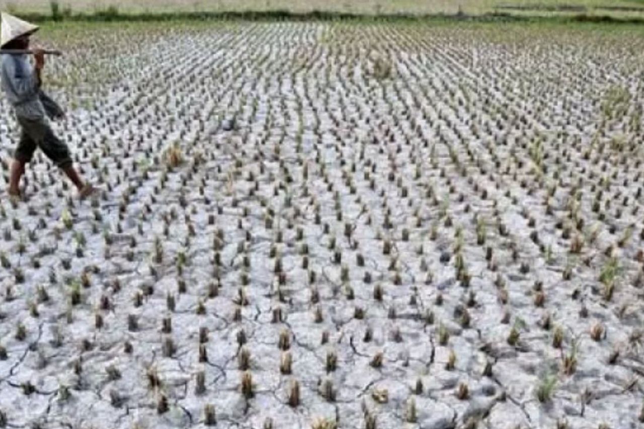 Facing El Nino, Ganjar Orders OPD To Maintain Community Needs And Optimize Village Funds