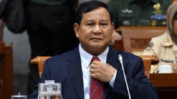 Member Of The DPR F-PDIP Effendi Simbolon Asks Defense Minister Prabowo To Be Transparent About The Draft Presidential Decree On Alpalhankam