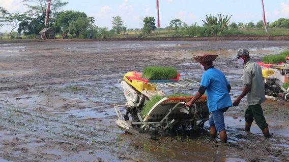 Babel Gandeng Alumni ITB Kembangkan Teknologi Pertanian Demi Tekan Inflasi