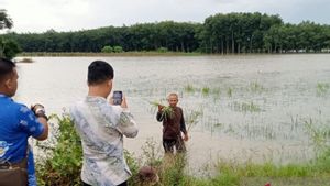 BNPB: Petugas Gabungan Masih Bersiaga Atasi Dampak Banjir di OKI Sumsel 