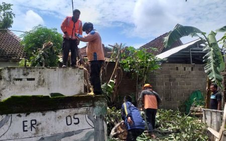 Puting Beliung di Situbondo Rusak 163 Rumah 