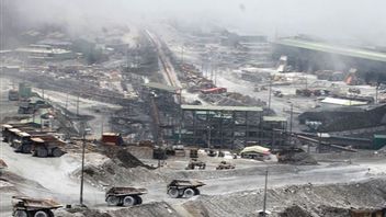 Freeport Setor Keuntungan Rp75 Triliun ke Negara