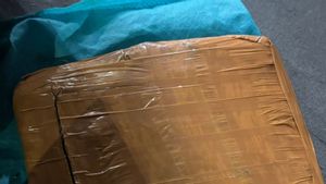 Bandar Ganja Jaringan Tanjung Priok - Bekasi Ditangkap Aparat Polsek Kelapa Gading