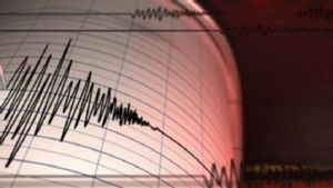 Gempa Magnitudo 5 Guncang Mamberamo Raya Papua, BMKG: Jenis Dangkal Tak Berpotensi Tsunami