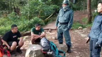 Violating Rules, 6 Climbers Are Prohibited From Climbing Mountains Throughout Indonesia For 2 Years