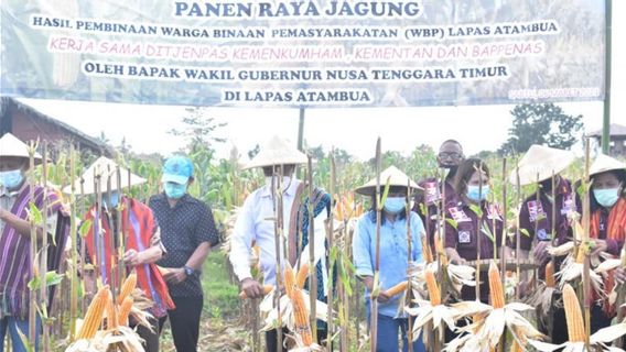 East Nusa Tenggara's Signature Food: Starting From The Folklore And Ending With Corn Farming