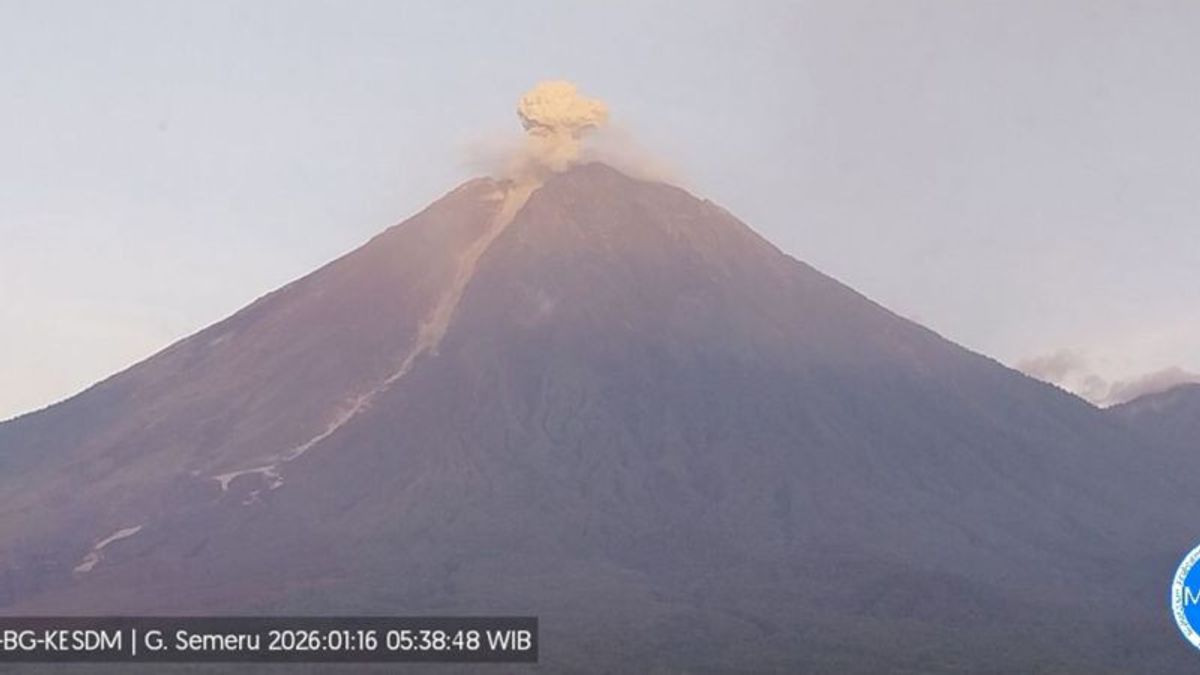 Gunung Semeru Alami 23 Kali Gempa Letusan Selama Enam Jam