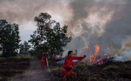 Lebih dari 50 Persen Wilayah di Sumsel Masuk Kategori Rawan Karhutla Level Tinggi