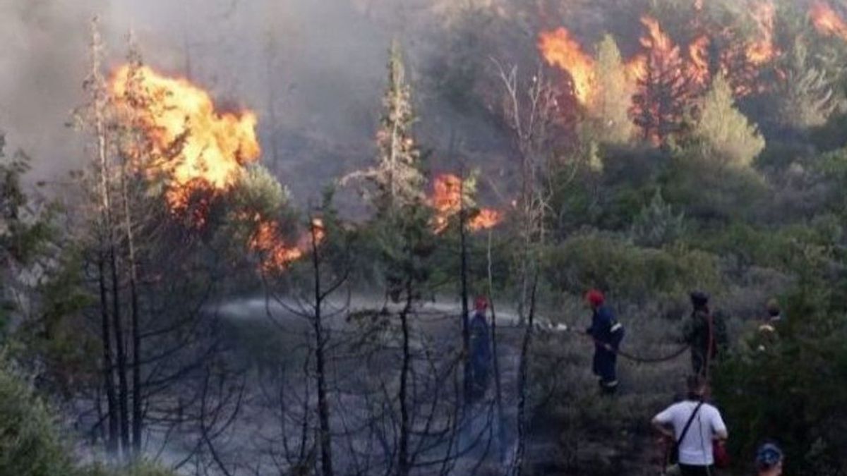 20 Hektar Area Taman Nasional Gunung Ciremai Terbakar