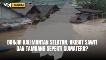 VOI اليوم: الفيضانات في جنوب كاليمانتان تصل إلى السقوف ، لأن الأراضي القصبية مثل سومطرة؟