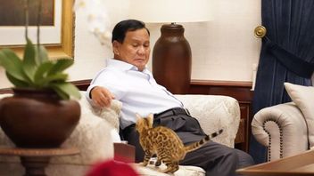 Gerindra affirme que la réunion de Prabowo et PPP est toujours bloquée dans le cadre du processus d’affaire électorale