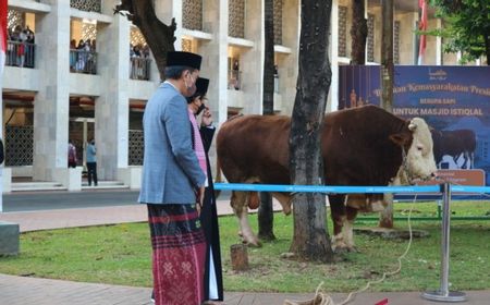 Jumlah Hewan Kurban di Masjid Istiqlal Sebanyak 48 Ekor, Baru Disembelih dan Dibagikan pada Senin Besok