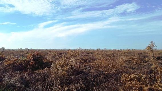 Kebakaran Hutan di Aceh Barat 100 Persen Telah Dipadamkan 