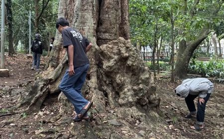 Tren Berburu Koin Jagat adalah Masalah Struktural, Bukan Sekadar Perusakan Fasilitas Umum