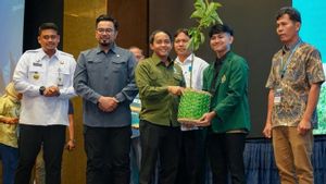 Polemik Foto Menteri Main Domino: Beda Nasib Abdul Kadir Karding dan Raja Juli Antoni