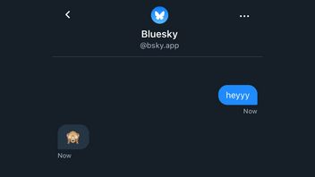 Bluesky Akhirnya Luncurkan Fitur DM, Sesama Pengguna Bisa Bertukar Pesan
