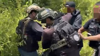 Gagal Kabur ke Hutan, DPO KKB Sempat Melawan hingga Ditembak Satgas Cartenz di Kaki