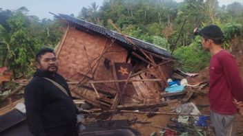 Tujuh Rumah Warga di BNS Lampung Barat Dirusak Gajah Liar
