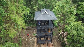 Ujung Kulon半岛的爪哇犀牛被转移到森林部的JRSCA:留在自然栖息地