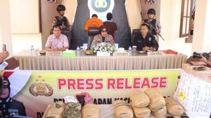  Amankan 10 Kg Ganja dari 2 Tersangka di Bukittinggi, Polisi Lacak Jaringannya 