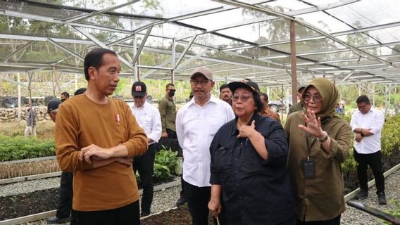 Jokowi: Center For Economics In Penajam Support The Concept Of Green City IKN Nusantara