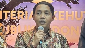 리우아에서 죽은 코끼리, 멘후트 : 희귀 동물의 살인자에게는 용서가 없다