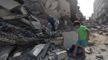 世卫组织警告说,加沙可能发生健康灾害