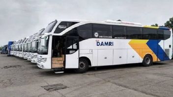 Damri Asks For IDR 1 Trillion PMN Capital Injection