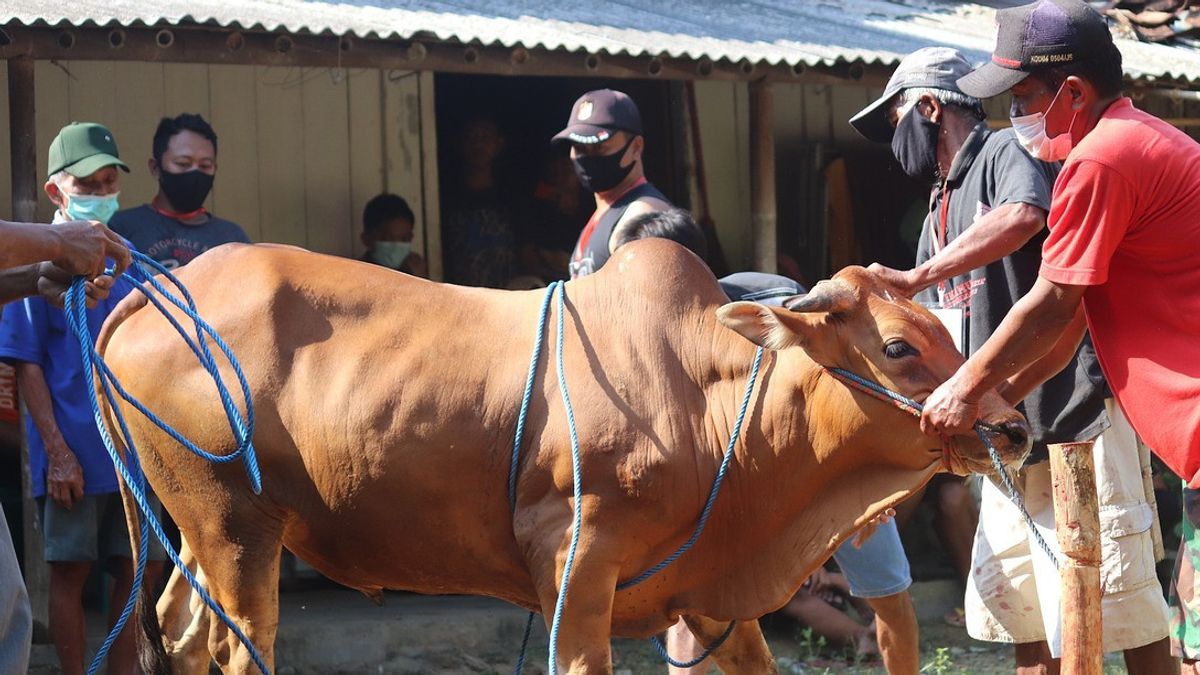 East Jakarta City Government Bans People From Disposing Of Sacrificial Animal Waste Into Waterways