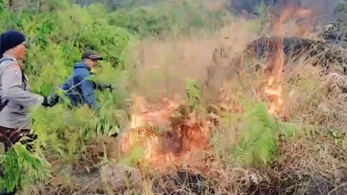 Joint Officers Put Out Fires In Lereng Arjuno