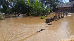 Sungai Meluap, 25 Desa di Aceh Barat Kembali Terendam Banjir