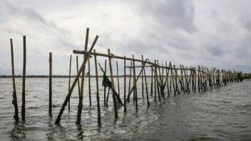 Nusron Bantah Ada Sertifikat Pagar Laut Atas Nama PT Kapuk Naga Indah