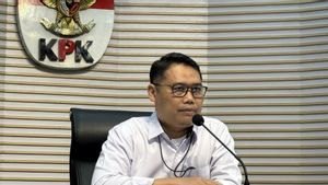 KPK Bakal Koordinasi dengan Satgas PKH Soal Kasus Tambang PT Mineral Trobos Milik David Glen Oei