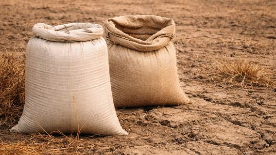 中东战争开始动摇非洲的粮食安全