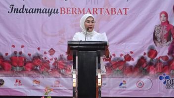  Bupati Indramayu Nina Agustina Siap Menghadap Ridwan Kamil, Tepis Tak Harmonis dengan Lucky Hakim