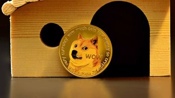 Quincy University Accepts Bitcoin, Dogecoin, And Shiba Inu Donations