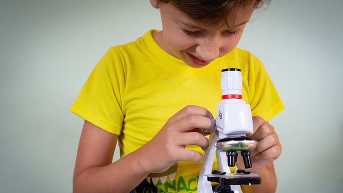 4 Ways To Stimulate Children's Interest In Science
