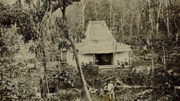 Daendels yang Galak Usir Pembalak Hutan