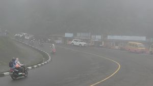 Kabut Tebal dan Hujan Deras Selimuti Puncak–Cianjur, Polisi Minta Pengendara Ekstra Waspada
