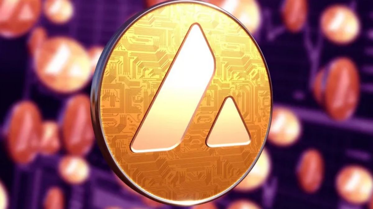 Crypto Developer AVAX Launches Avalanche Vista, This Is The Goal!